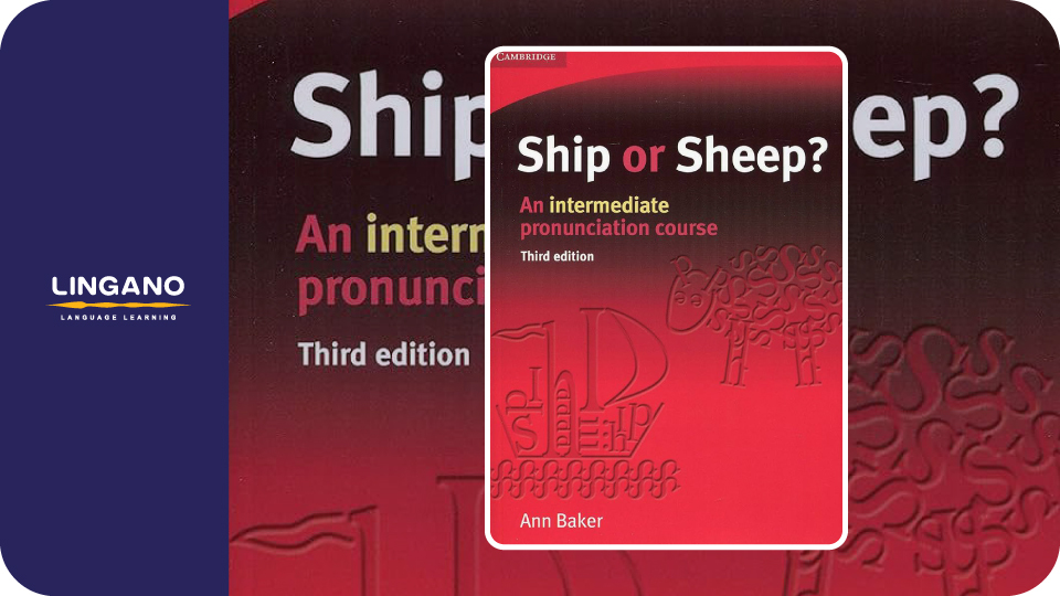 Ship or Sheep