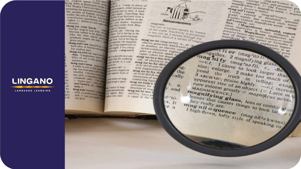 اهمیت جملات کاربردی انگلیسی