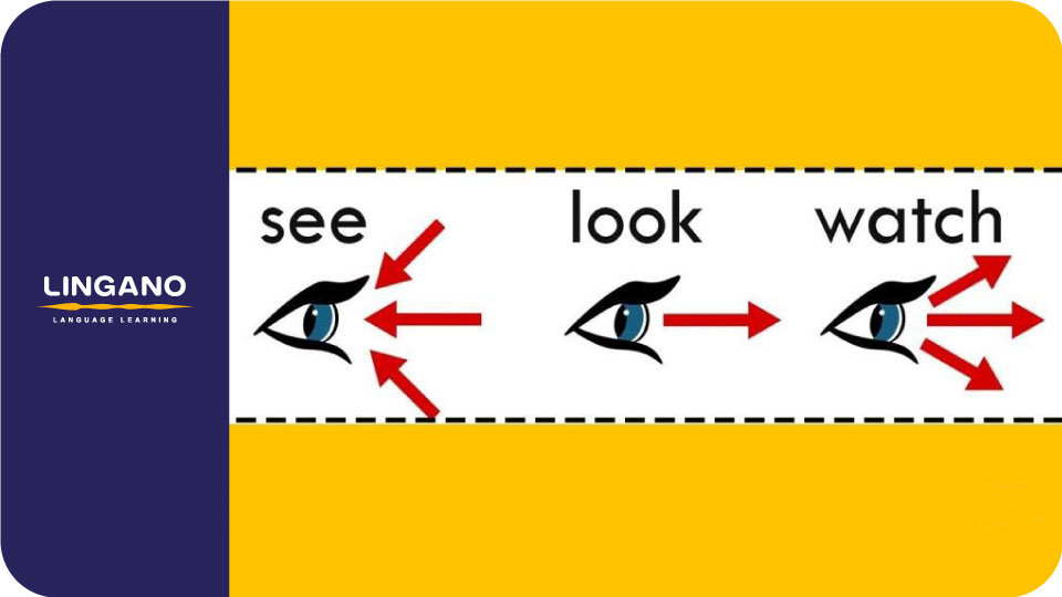 تفاوت sEE و LOOK و WATCH
