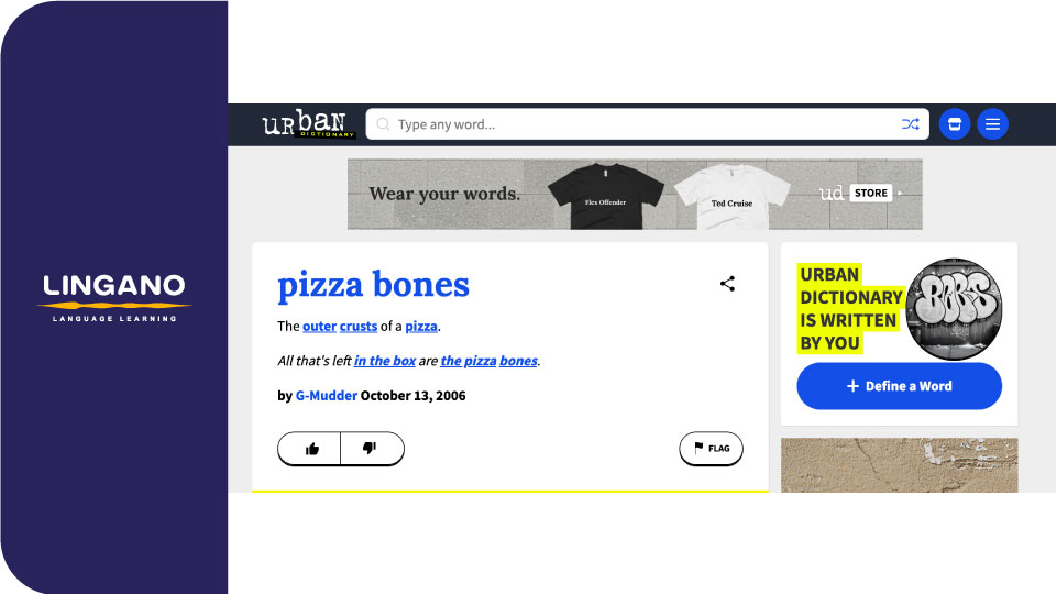 وبسایت Urban Dictionary برای یادگیری اصلاحات در زبان انگلیسی پیشرفته