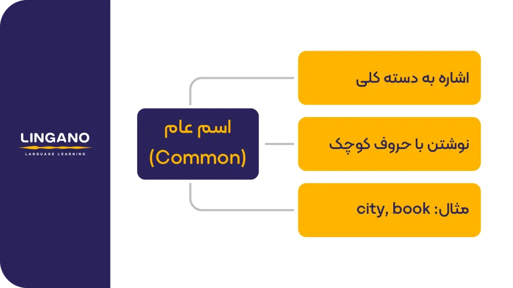 اسم عام (Common Noun)