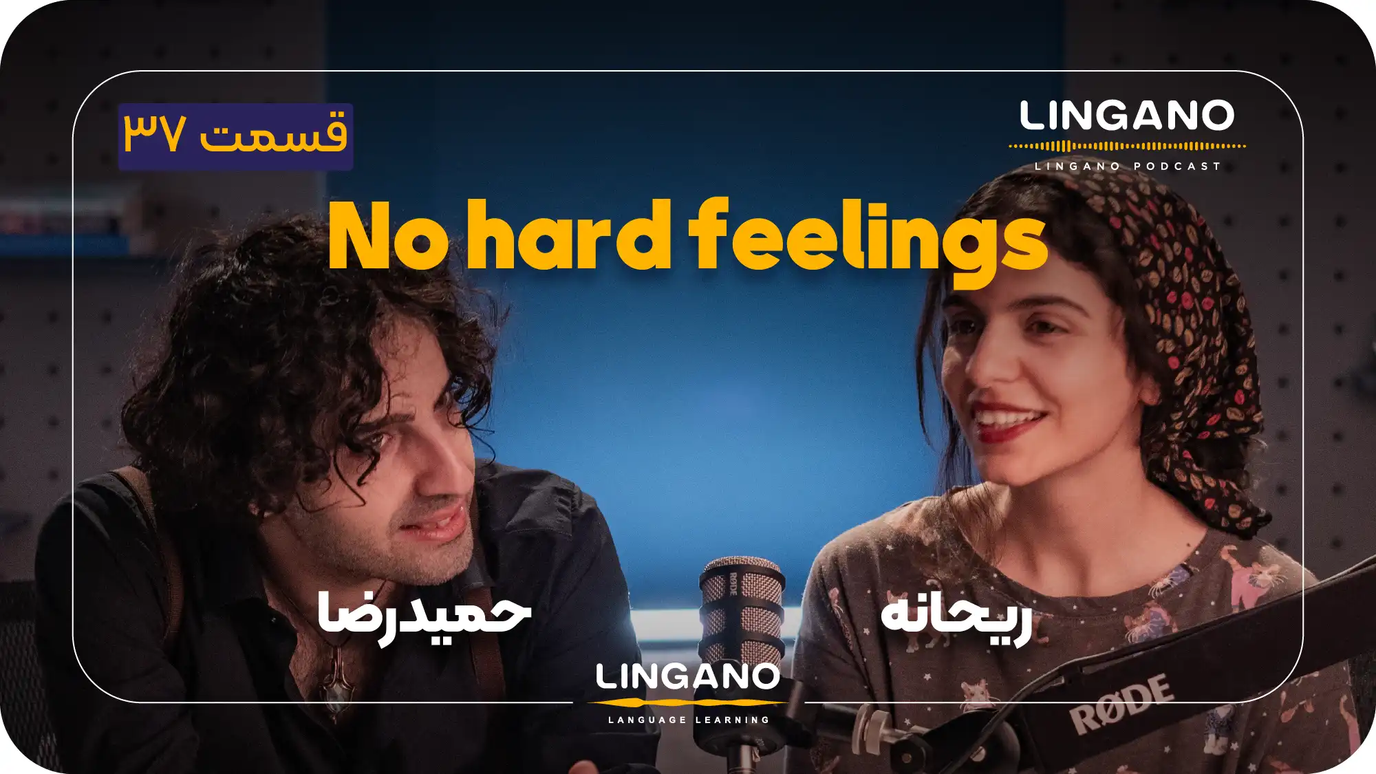 همه چیز درباره اصطلاح No hard feelings