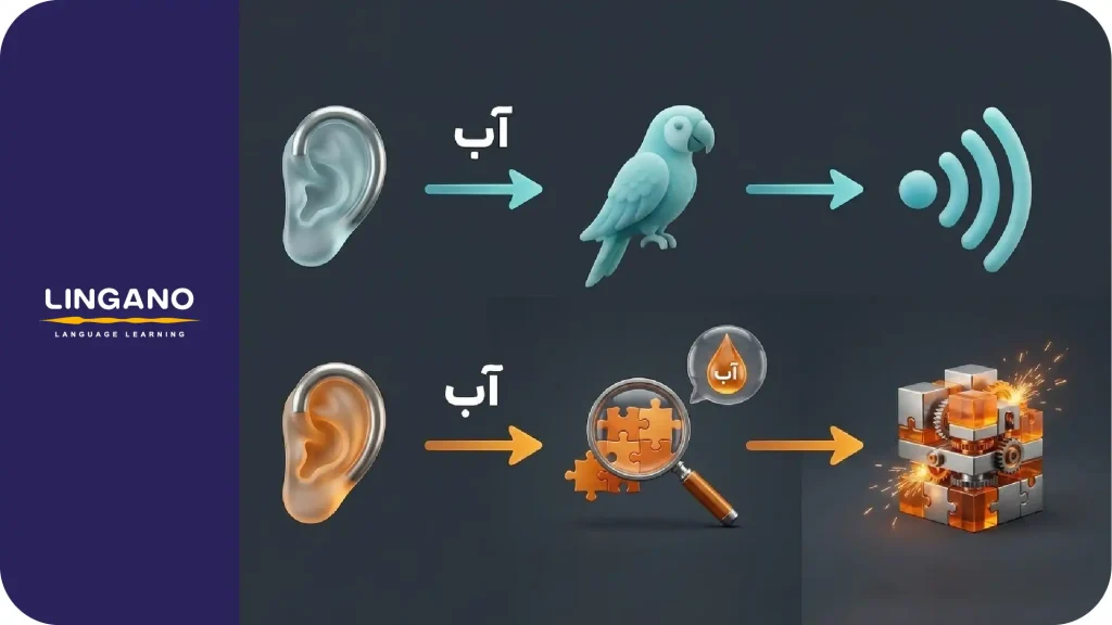 کودک و بزرگسال چطور مکالمه یاد میگیرند؟ بهترین سن برای یادگیری زبان دوم